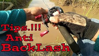 Tips Anti Backlash utk Pemula Belajar Baitcasting [upl. by Zeculon]