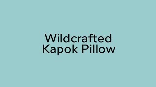 Review Wild Kapok Pillow Organic Cotton Ticking By Rawganique [upl. by Kesia814]