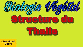 Cours Biologies Végétal  Structure du Thalle  💯validé ✅ [upl. by Dlared]