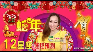 最新 2025 乙巳年｜蛇年12星座運勢｜全年運程預測｜愛情｜事業｜桃花｜健康｜家庭｜人際｜考試運｜財運｜ 完整解析｜提升運勢小貼士｜ 2025 Horoscope｜🔮塔羅占星師 Renee [upl. by Nospmas]