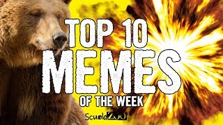 TOP 10 VIDEO MEME della SETTIMANA 12  ScuolaZoo [upl. by Vasyuta]