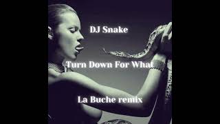 DJ Snake  Turn Down For What Ft Lil Jon La Buche Remix [upl. by Oirtemed129]