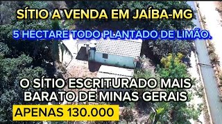 VENDIDO   O SÍTIO COM ESCRITURA MAIS BARATO DO PROJETO JAÍBAMG APENAS 130 MIL [upl. by Ahsemac855]