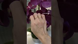 Cartier Love Ring yellow gold vs rose gold  Chloe Dang cartier [upl. by Yednarb900]