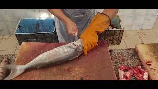 The Ultimate Fish Cutting Tutorial Knife Skills and Tricks Revealed [upl. by Seravat854]