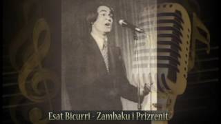 Esat Bicurri  ZAMBAKU I PRIZRENIT [upl. by Vezza]