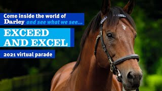 2021 Darley Australia Stallion Parade  Exceed And Excel [upl. by Erodavlas]