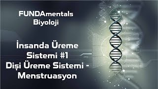 İnsanda Üreme Sistemi 1 Dişi Üreme Sistemi  Menstruasyon [upl. by Farrar]