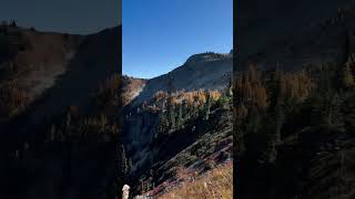 hiking nature mountains northcascades seattle washington larches [upl. by Tavish]