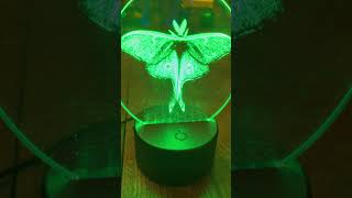 Luna moth night light [upl. by Ayotna]