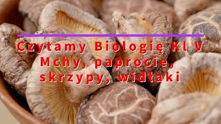 Czytamy  Biologia Klasa 5 quotMchy paprocie widłaki skrzypyquot [upl. by Eitsyrc251]