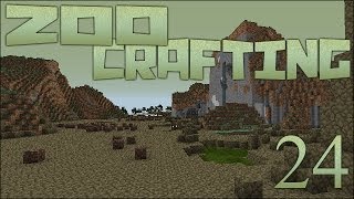 Search for Desert Sands 🐘 Zoo Crafting Episode 24 [upl. by Demaggio]