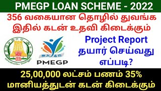 PMEGP Loan Scheme Eligible Business 2022  PMEGP loan project report  PMEGP loan apply online [upl. by Octavie]