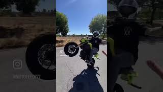 Grom day pass of wheelie grom honda [upl. by Belford]