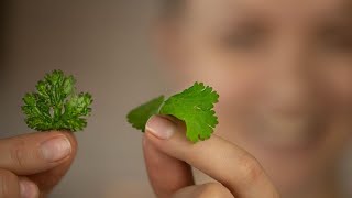 4 minute garnish idea flat fried LEAFY HERBS [upl. by Soule977]