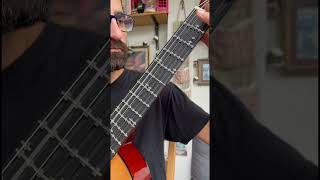 Fretless vs Microtonal Guitar [upl. by Chill661]