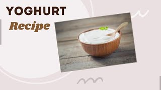 LACTOPEDIA How to make Yoghurt [upl. by Nnaycnan]