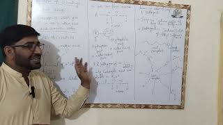 understanding hydrogen bonding amp its applications [upl. by Carman]