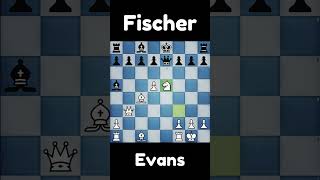 BOBBY FISCHER Shows Us HOW TO WIN With The EVANS GAMBIT chess shorts [upl. by Haliak406]