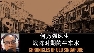 旧新加坡记事录  何乃强医生 – 战阵时期的牛车水 Chronicles of Old Singapore  Ho Nai Kiong – War in Chinatown [upl. by Kciredec424]