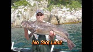 Seward Alaska Lingcod amp Rockfishmpg [upl. by Alrac]