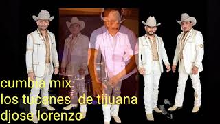 Los tucanes de tijuana cumbia mix para bailar toda la noche 🎧🕺🏿 [upl. by Coit]