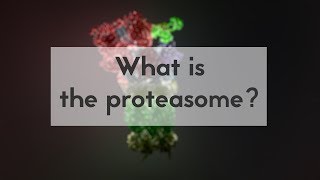 What is the proteasome [upl. by Haraz542]