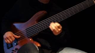 Six String Fretless Bass Solo amp Ebow to R E L A X  Healing Sun [upl. by Biebel]