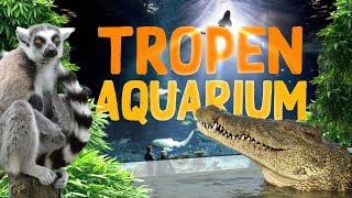 TropenAquarium Hagenbeck Hamburg  Zoo Eindruck [upl. by Aikkin]