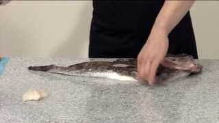 How to skin and fillet a Monkfish  208 [upl. by Madden496]