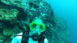 Montego Bay Scuba Dive 3 of 6  Active panic in open water diver [upl. by Jasmine]