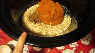 VLOGMAS DAY 5 Pumpkin Pie Crock pot Oatmeal  120515 [upl. by Barker371]