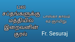 4th Sunday of EasterGood Shepherd SundayVocation SundaySunday HomilyTamilHomily on John 102730 [upl. by Asertal]