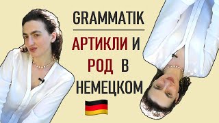 Немецкий и Грамматика Легко Артикли и Род Существительных Grammatik Deutsch A1 [upl. by Llebana]