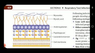 Apurba S Sastry Microbiology Tuberculosis and nontubercular mycobacteria infection part 1 [upl. by Krik]