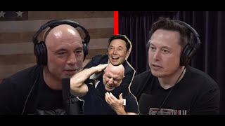 Elon Musk  Ive done jiu jitsu [upl. by Eytteb]