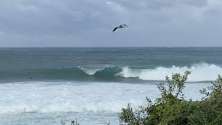 Cronulla Point Surf Check Monday June 17th 2024 330pm [upl. by Akinas]