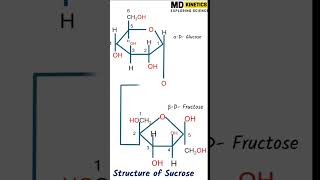 Biomolecules  Class 12  Part 2 shorts ytshorts viral disaccharides chemistry biomolecules [upl. by Hsan503]