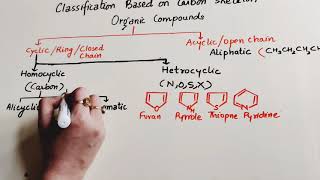 Classification of Organic Compounds Class 11Organic Chemistry some basic principles and Techniques [upl. by Lusty]