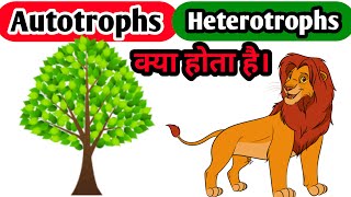 AUTOTROPHS HETEROTROPHS Autotrophs And Heterotrophs BIOBOX What Is Autotrophs [upl. by Sethrida]