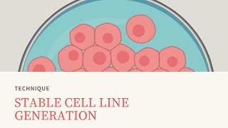 🦠 Lentiviral vector stable cell line generation [upl. by Rubia]