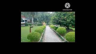 Kaziranga Dhanshee resort shortvideo contact nambar 8638569067 [upl. by Callida]