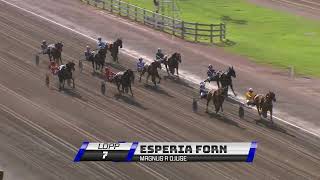 Åbytravet 240810  Highlights från ÅWGP dagen [upl. by Aligna614]