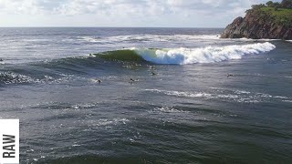 Locals always score the best waves at this Surf Break [upl. by Hareehat]