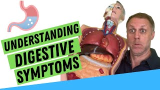 Digestive Troubles Explained  Improving Digestion Naturally [upl. by Grekin]