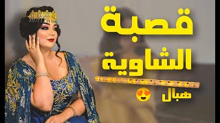 CHAOUI GASBA BM PRO موسيقى شاوي رووعة [upl. by Llerrod793]