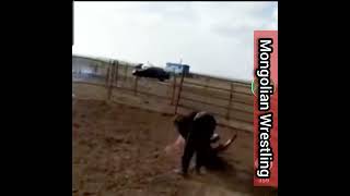 Mongolian Horse Taming with Bökh Wrestling [upl. by Effy9]