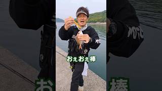 おえおえ棒の使い方fishing 釣り 釣り初心者 魚釣り 海釣り 針の外し方広島たにさんのぼれやびゃー動画 [upl. by Lebisor]