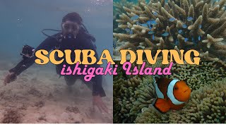 SCUBA DIVING on ISHIGAKI ISLAND [upl. by Galanti976]