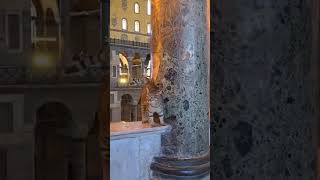 Hagia Sophia Cats 😊 cat cats istanbul hagiashopia shorts [upl. by Namia]